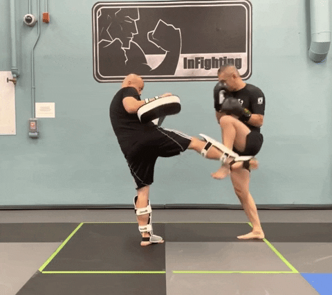 ritchieyip giphygifmaker kickboxing drills shin guards GIF