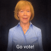 Go vote!