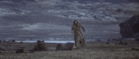 man in the wilderness GIF by Warner Archive