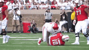 wipe it off houston cougars GIF by Coogfans