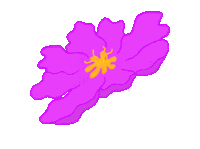 Flower Pippa Sticker by pippahaslam