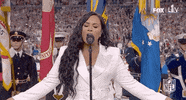 Demi Lovato Football GIF by NFL