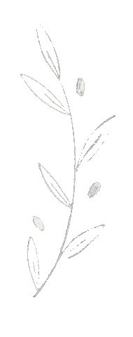 Illustration Flower Sticker