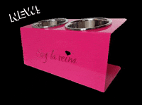 caponethedog queen dog soy la reina bowl perro mi perra es la reina GIF