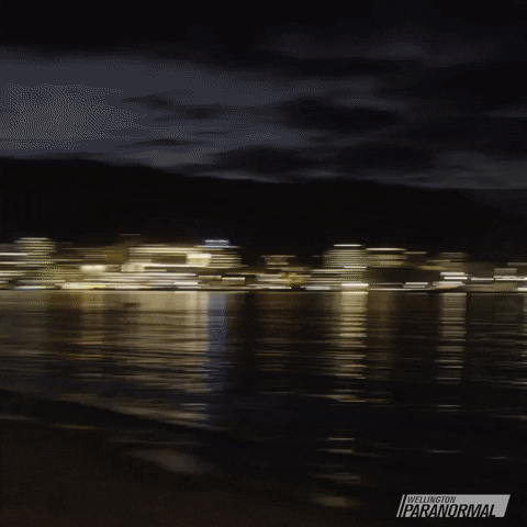 What We Do In The Shadows Comedy GIF by Wellington Paranormal