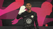Vfl Wolfsburg Hello GIF by Bundesliga