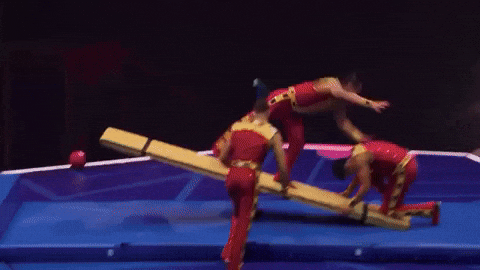 Flip Teamwork GIF by Ringling Bros. and Barnum & Bailey