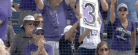 Softball Oklahoma GIF by NCAA Championships