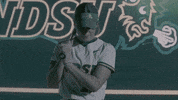 GIF by NDSU Athletics