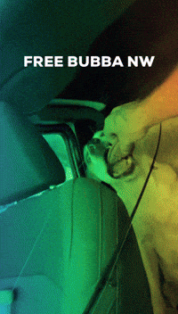 iamnastyjayham bubba kingkalikush kingkali freebubbanw GIF