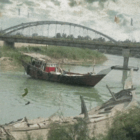 Bandar GIF
