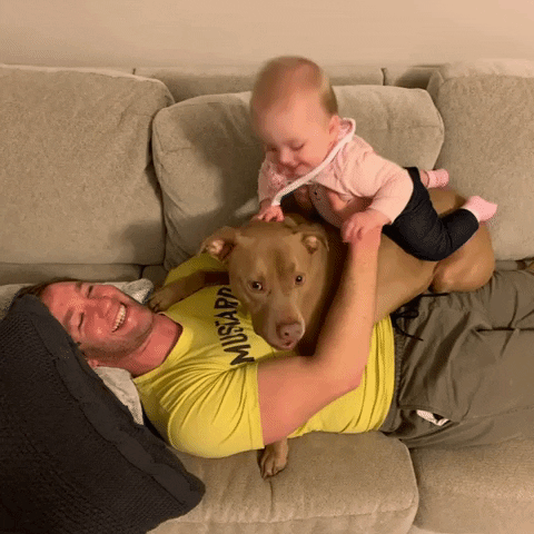 Dogs And Babies GIF by Hopkins Wrestling