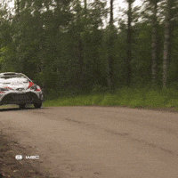 Flying Take Off GIF by FIA World Rally Championship