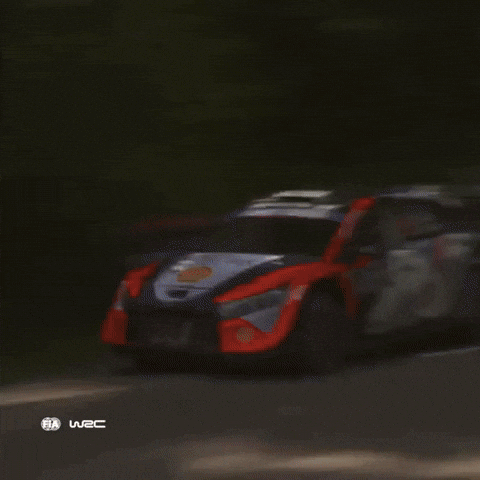 Fast Car Speed GIF by FIA World Rally Championship