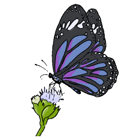 Blue Butterfly Flower Sticker