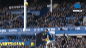 Awesome Goalkeeper GIF by MolaTV