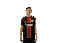 happy soccer Sticker by Bayer 04 Leverkusen