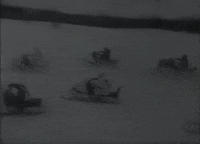 Winter Sports Vintage GIF by US National Archives