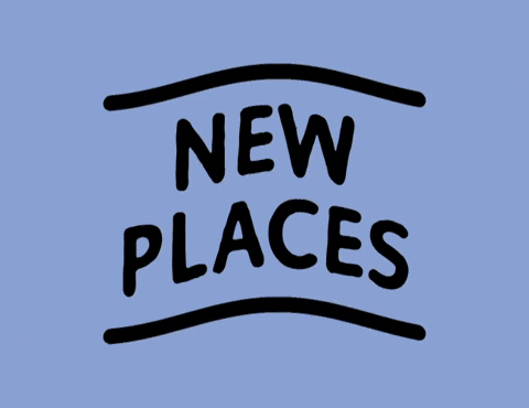 GIF by Jess Guerrucci