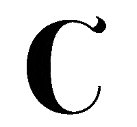 Fashion Logo Sticker by Camaleonicas