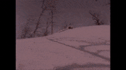 Film Sledding GIF