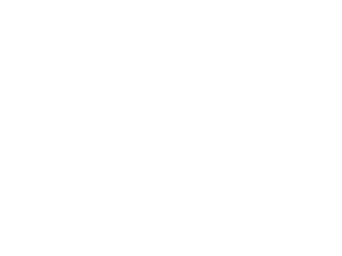 Bjj Jiujitsu Sticker