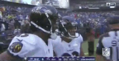 2018 Nfl Football GIF by NFL