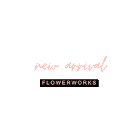 Flower Check It Out Sticker by Devika Sharma