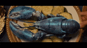 Lobster A24 GIF by VVS FILMS