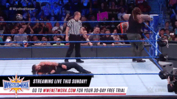 boytoychicago bray wyatt hair wwe GIF