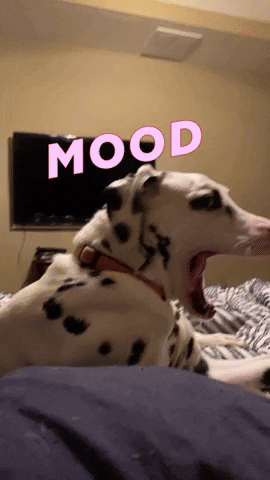 Robinsonlyonsrealtygroup giphyattribution mood dogs mad GIF