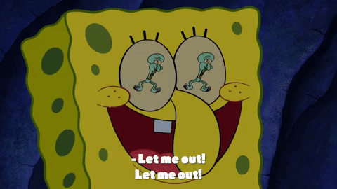 season 10 episode 3 GIF by SpongeBob SquarePants