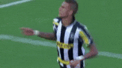 botafogo futebol e regatas GIF by Botafogo