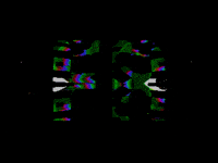 Art Glitch GIF