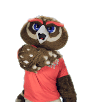 Fau Owls Sticker by Florida Atlantic University