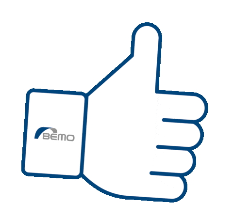 BEMOsystems giphyupload bemo bemosystems bemo systems Sticker