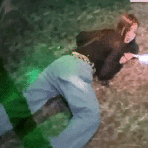 K Pop Triples GIF