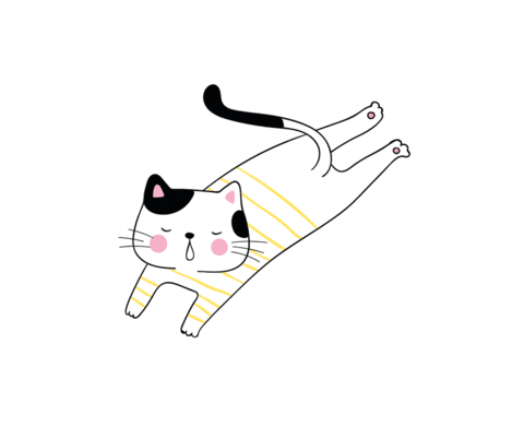 Cat Catlove Sticker