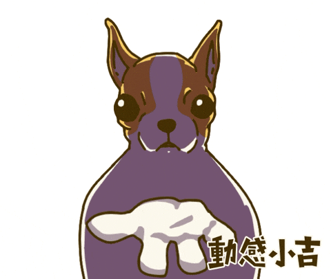 Animation Dog GIF