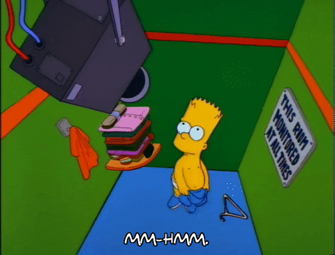 Season 3 Camera GIF by The Simpsons