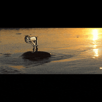 united states submission GIF by The Savannah .GIF Festival