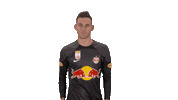 Stop Wait Sticker by FC Red Bull Salzburg