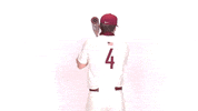 Baseball Roll Pards GIF by Lafayette Leopards