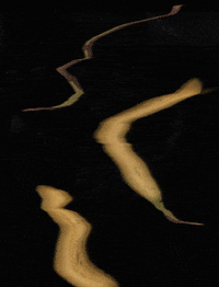 karascuro banana vibrate GIF