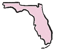 South Florida Beauty Sticker by laserbynicole