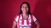 atleticodesanluis bien ligamx sanluis adsl GIF