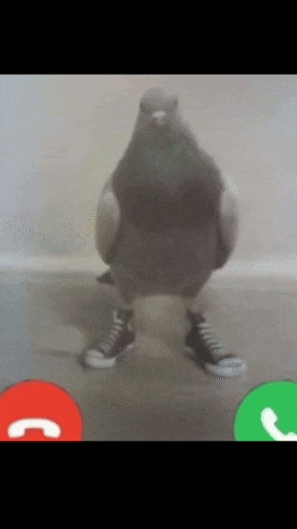 Phone Call GIF