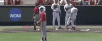World Series Baseball GIF by NCAA Championships