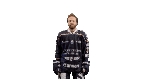 Hockey Angers Sticker by Les Ducs d'Angers