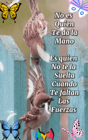 Amigos GIF by Murcianys LLC